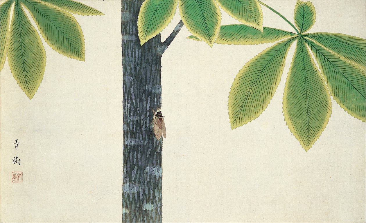 蝉 作者 大田清州