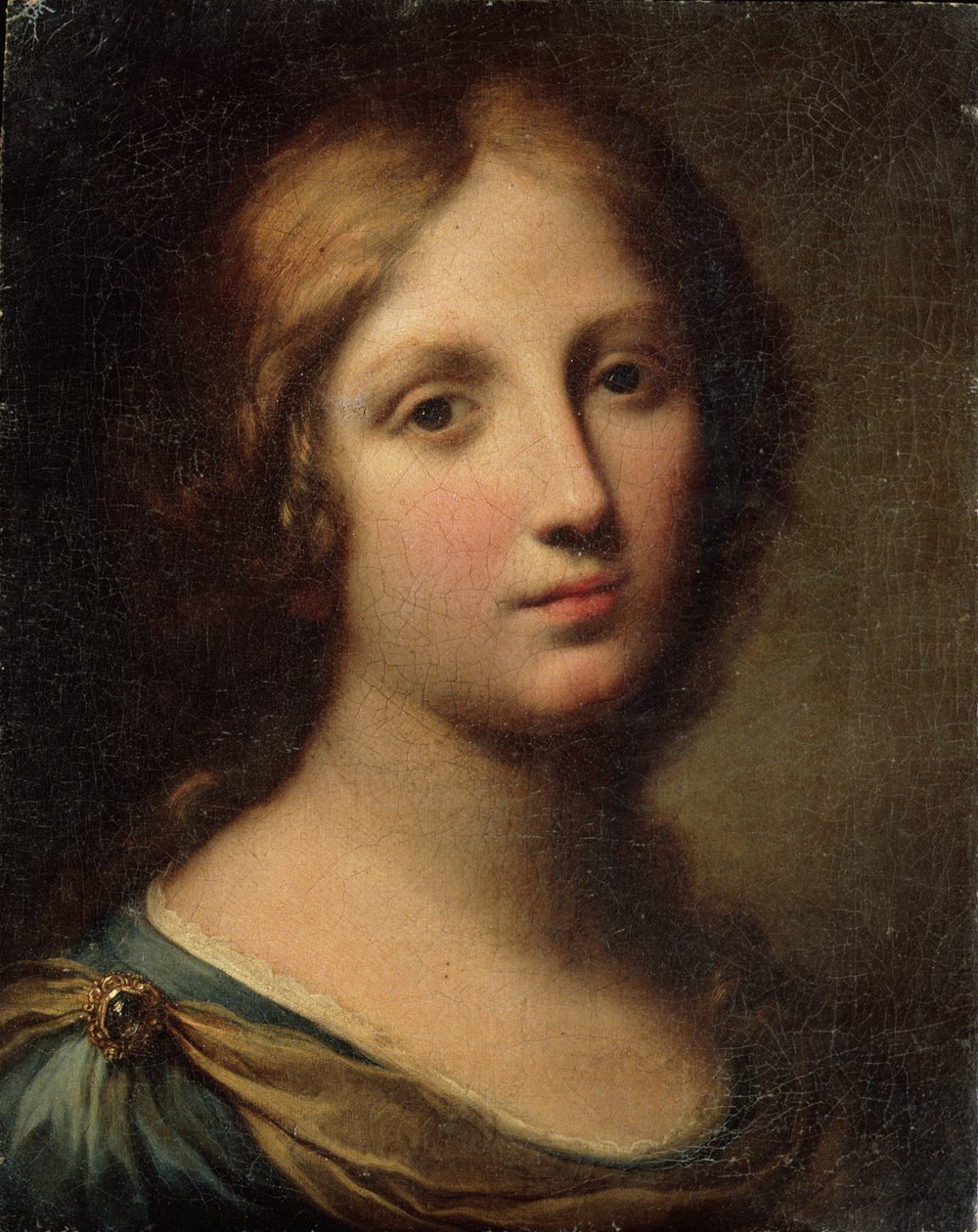 一个年轻女子的画像 作者 小野滨里