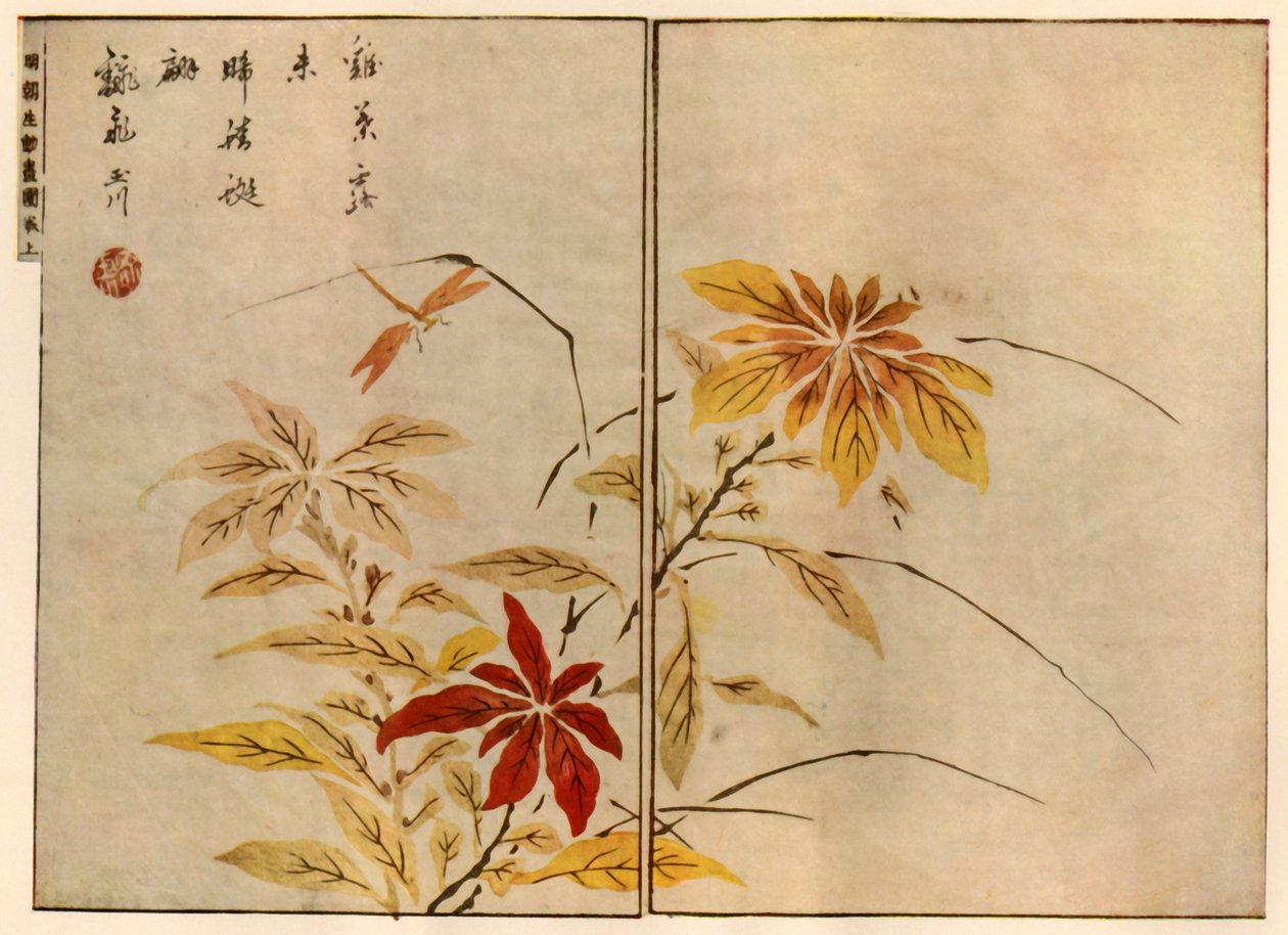 有植物的蜻蜓，1746年，1924年。   作者 大冈春北
