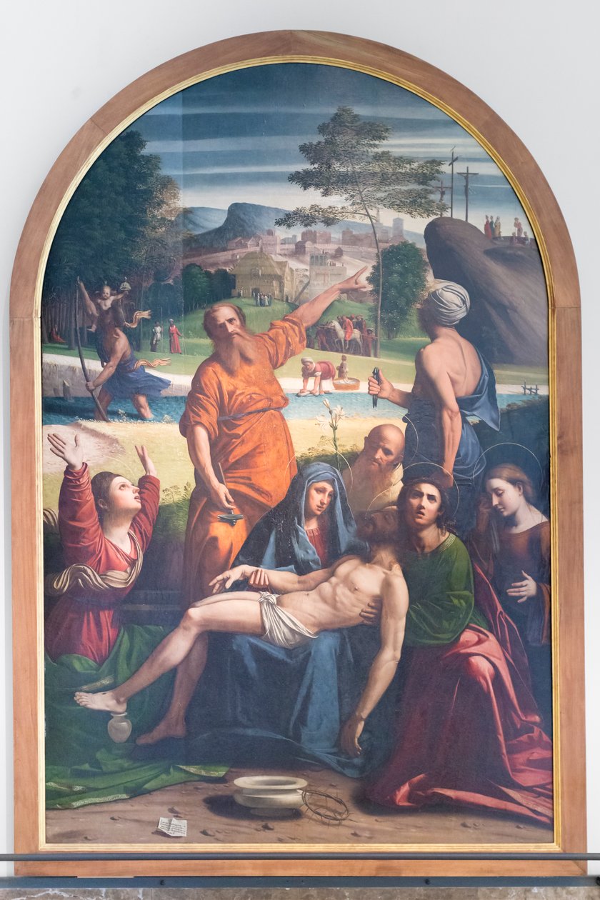证词 作者 奥尔托拉诺（c.1488-c.1525）