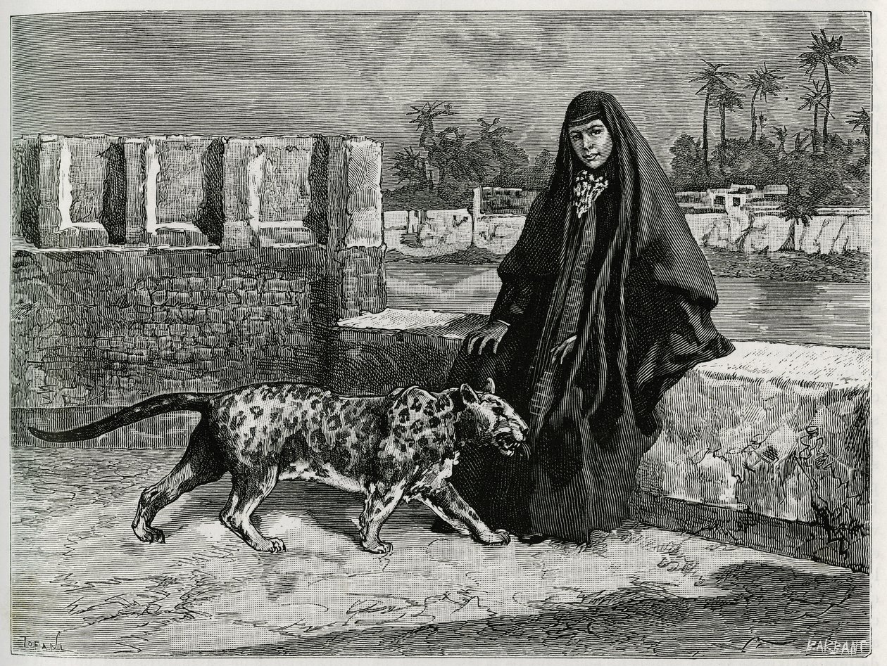 Torkan Khanoum, favorite of Sheikh Moses, powerful tribal leader of Arabistan with his panthere. Engraving by Tofani, to illustrate the story “Persia, Chaldee and Susiane” 作者 奥斯瓦尔多·托法尼（Oswaldo Tofani）