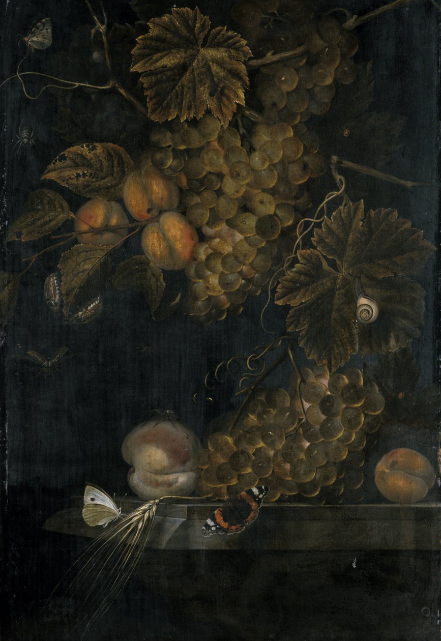 静物与桃子和葡萄，1665年 作者 奥特玛长者