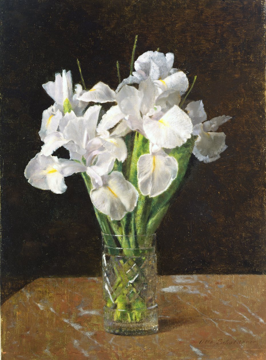 鸢尾花，1894年 作者 弗朗兹·奥托（Franz Otto）Scholderer