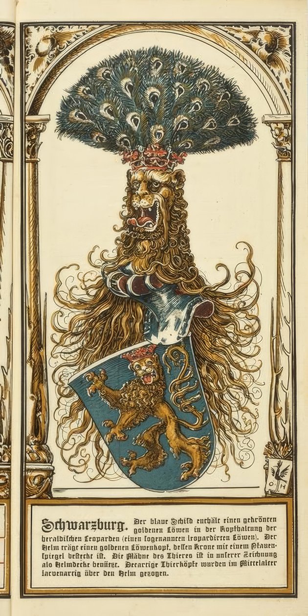 Die Stammwappen der deutschen Fürstenhäuser: Schwarzburg 作者 奥托·赫普