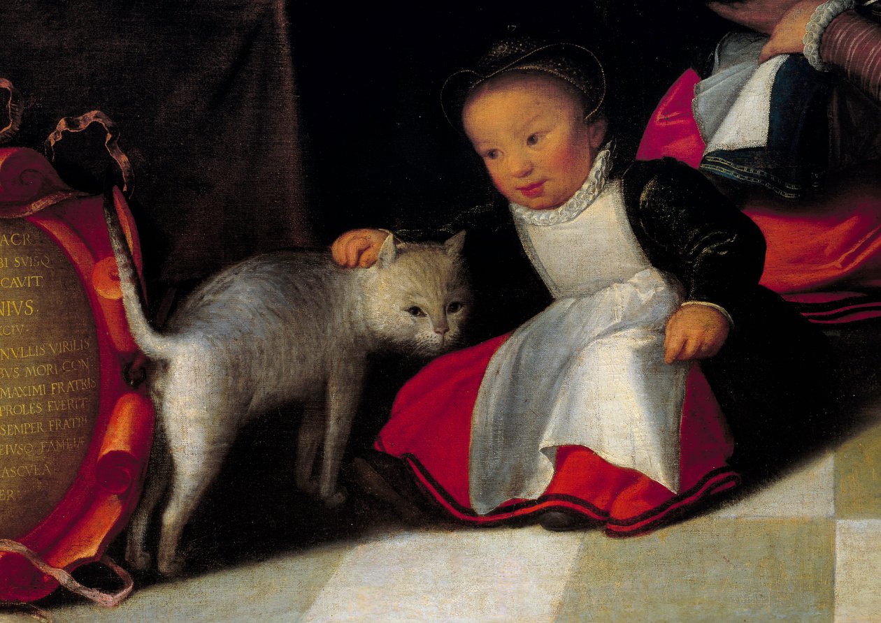 艺术家和他的家人 细节代表猫和孩子。 Octavius Van Veen (1556-1629) 的绘画 作者 奥托·范·维恩