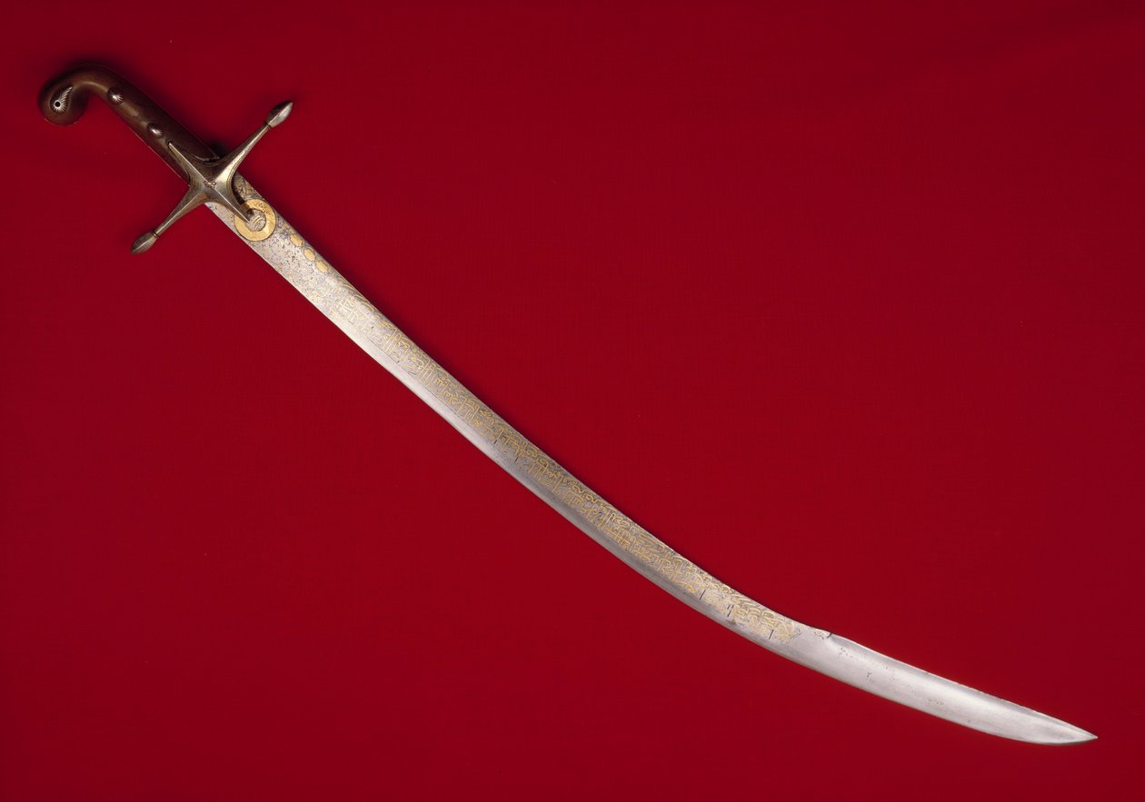 苏莱曼 (Suleyman) 一世 (1494-1566)，奥斯曼苏丹的军刀 作者 奥斯曼帝国学校