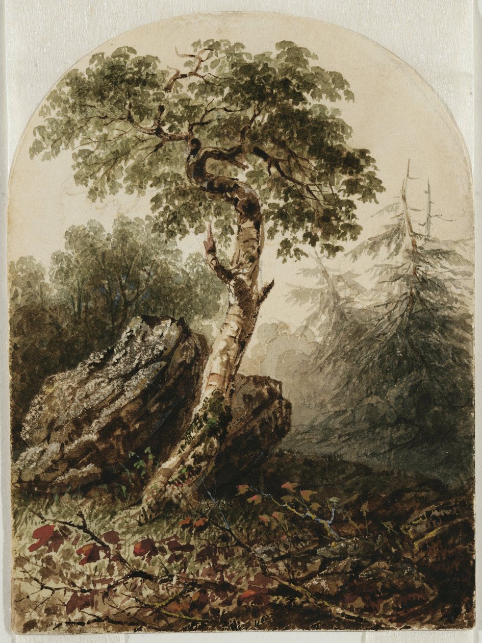 景观与白桦树，1859年（wc与铅笔的痕迹和可能在奶油编织纸上的水粉触摸） 作者 欧文·汉克斯