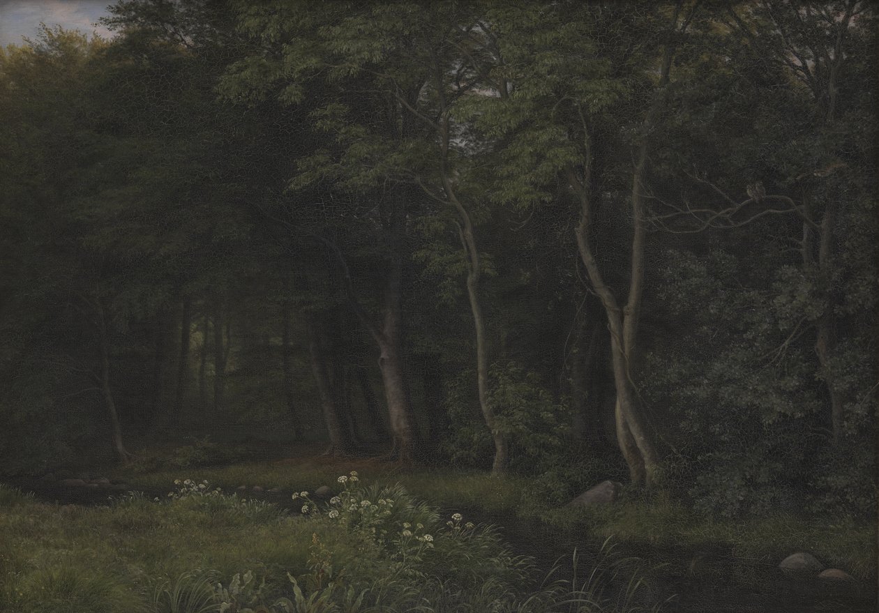 伊瑟林根庄园附近树林中的黄昏场景，新西兰 作者 PC Skovgaard
