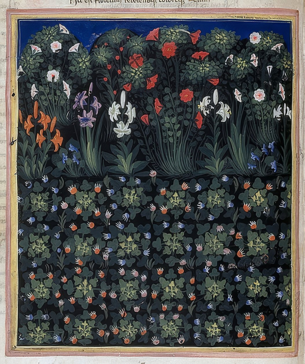 花园（摘自：Convenevole da Prato的Regia Carmina）。约于1335年 作者 Pacino di Bonaguida
