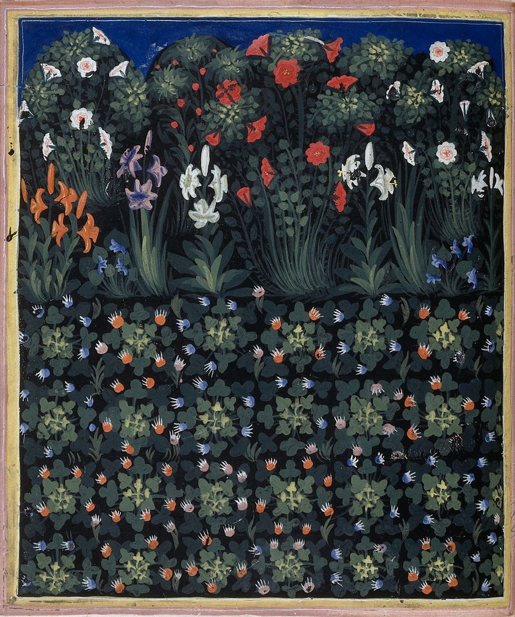 Regia Carmina的花园，Convenevole da Prato提供 作者 帕西诺迪布奥纳吉达