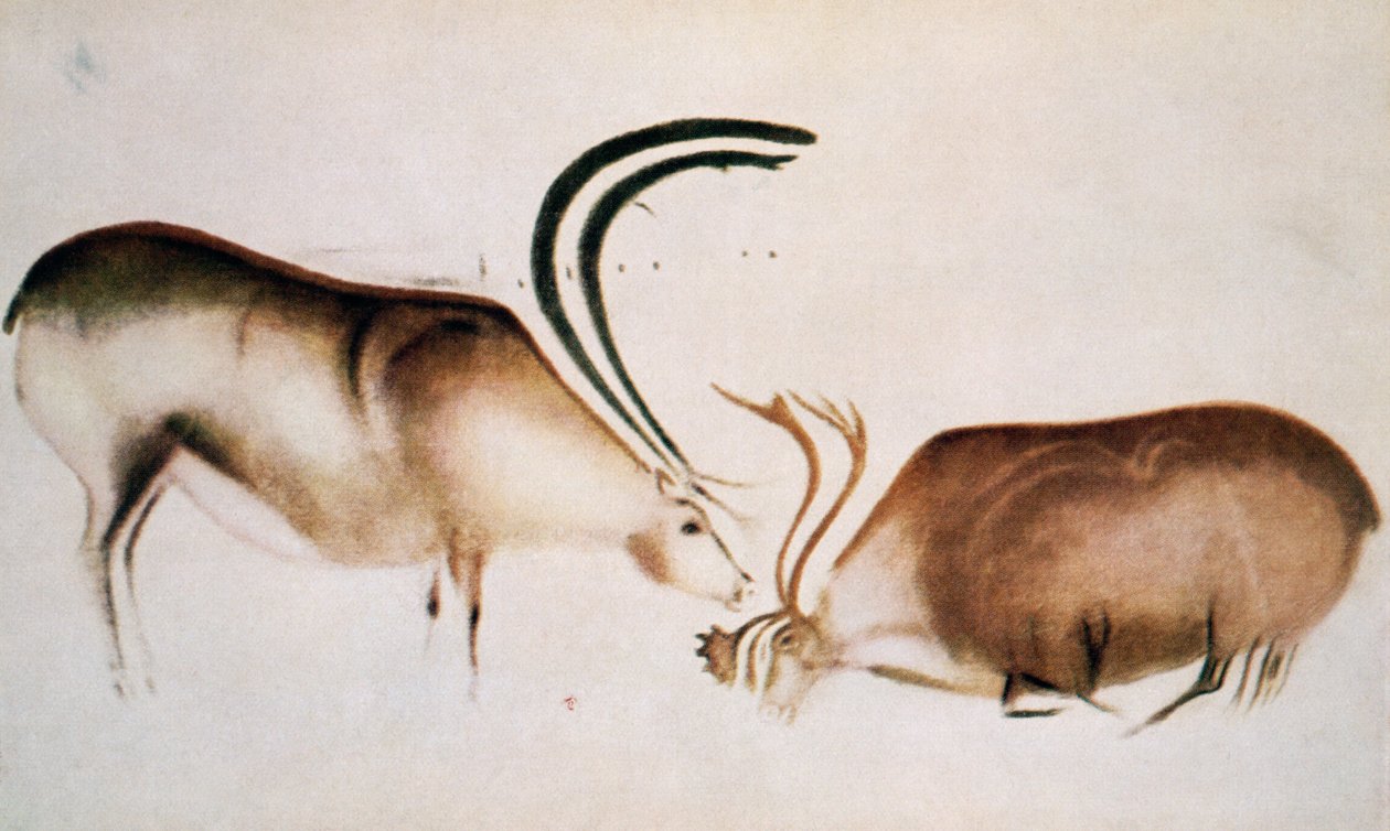 雄性和雌性鹿，Magdalenian学校，c.13000 BC（洞穴绘画） 作者 旧石器时代