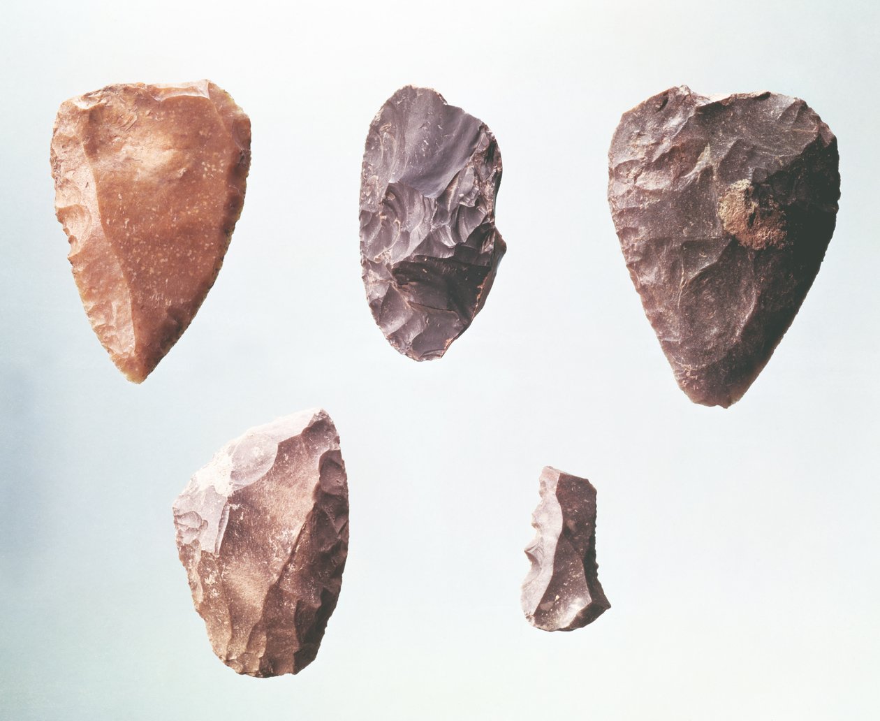 史前石刻工具，来自Grotte de Placard，公元前80000-35000（燧石） 作者 旧石器时代