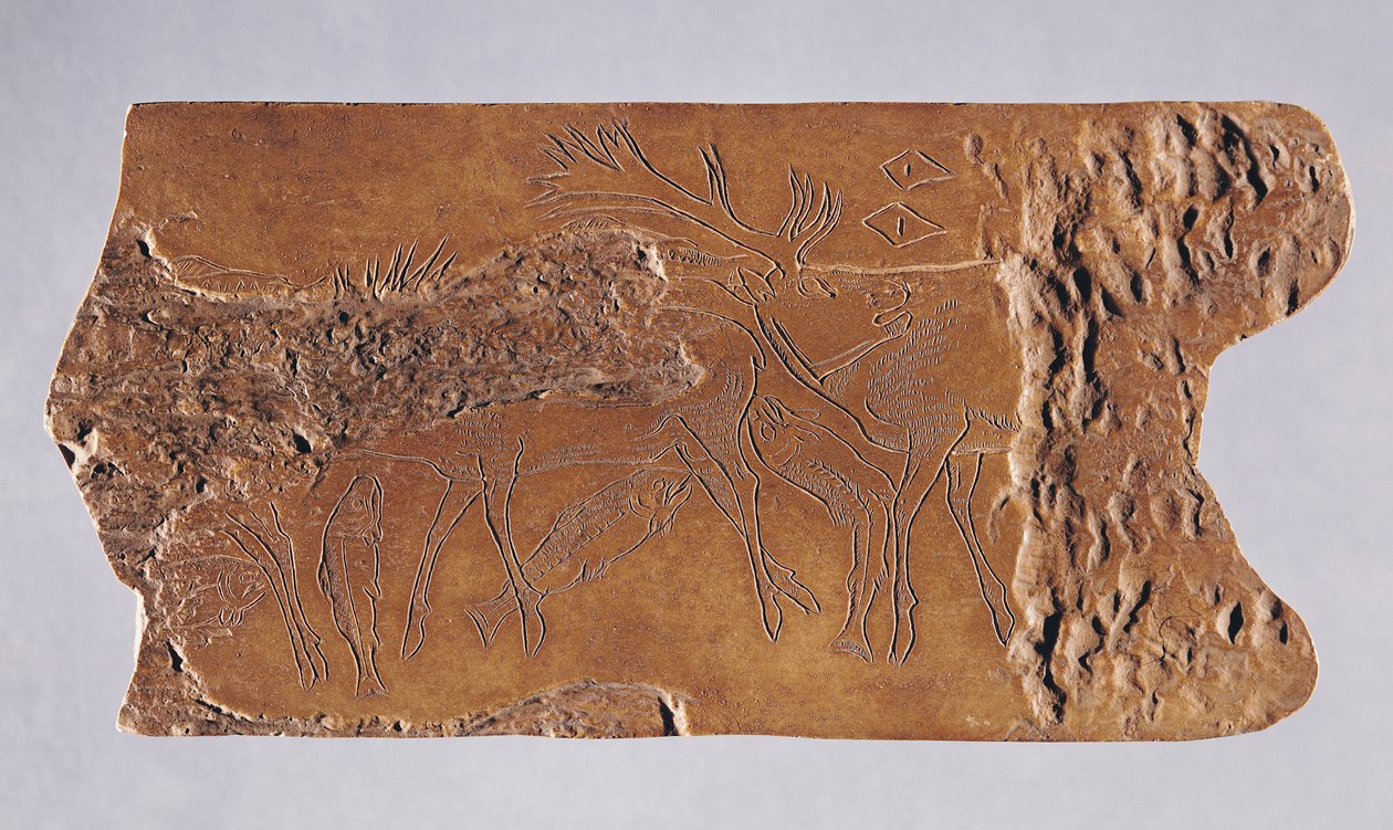 雕刻有鹿和跳跃三文鱼的驯鹿号角，来自Grotte de Lortet，Magdalenian，公元前15000-18000（号角） 作者 旧石器时代