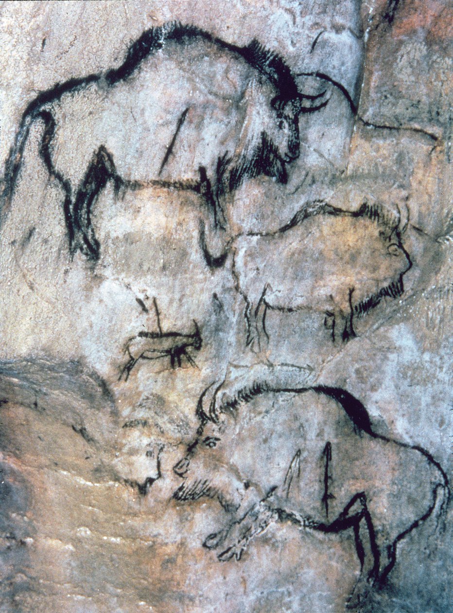 Injured Bison, Magdalenian (cave painting) 作者 旧石器时代旧石器时代