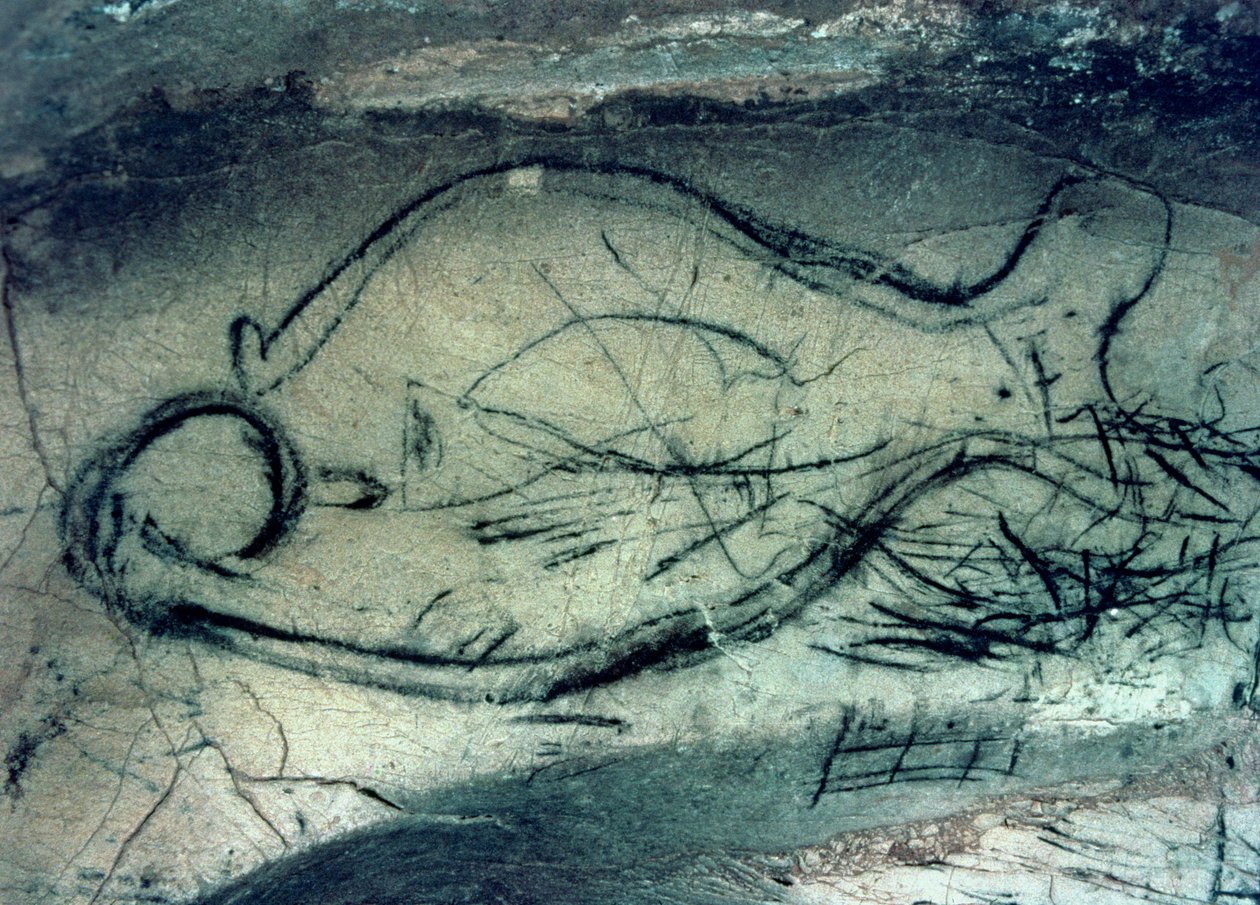 海洋人物，旧石器时代（约公元前 40000-12000 年）（照片） 作者 旧石器时代旧石器时代