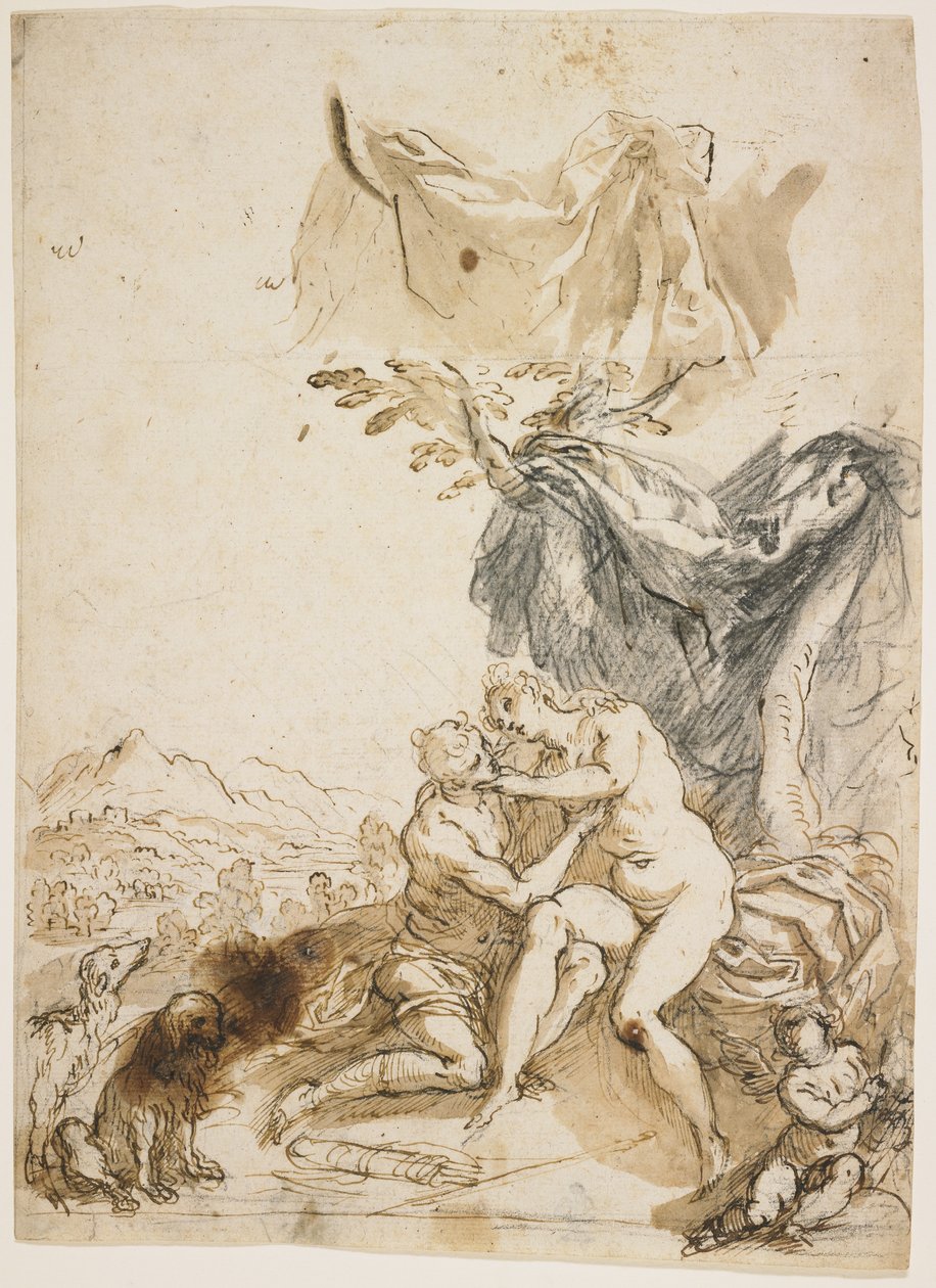 维纳斯和阿多尼斯，C。 1620 作者 帕尔玛（Palma Il Giovane）