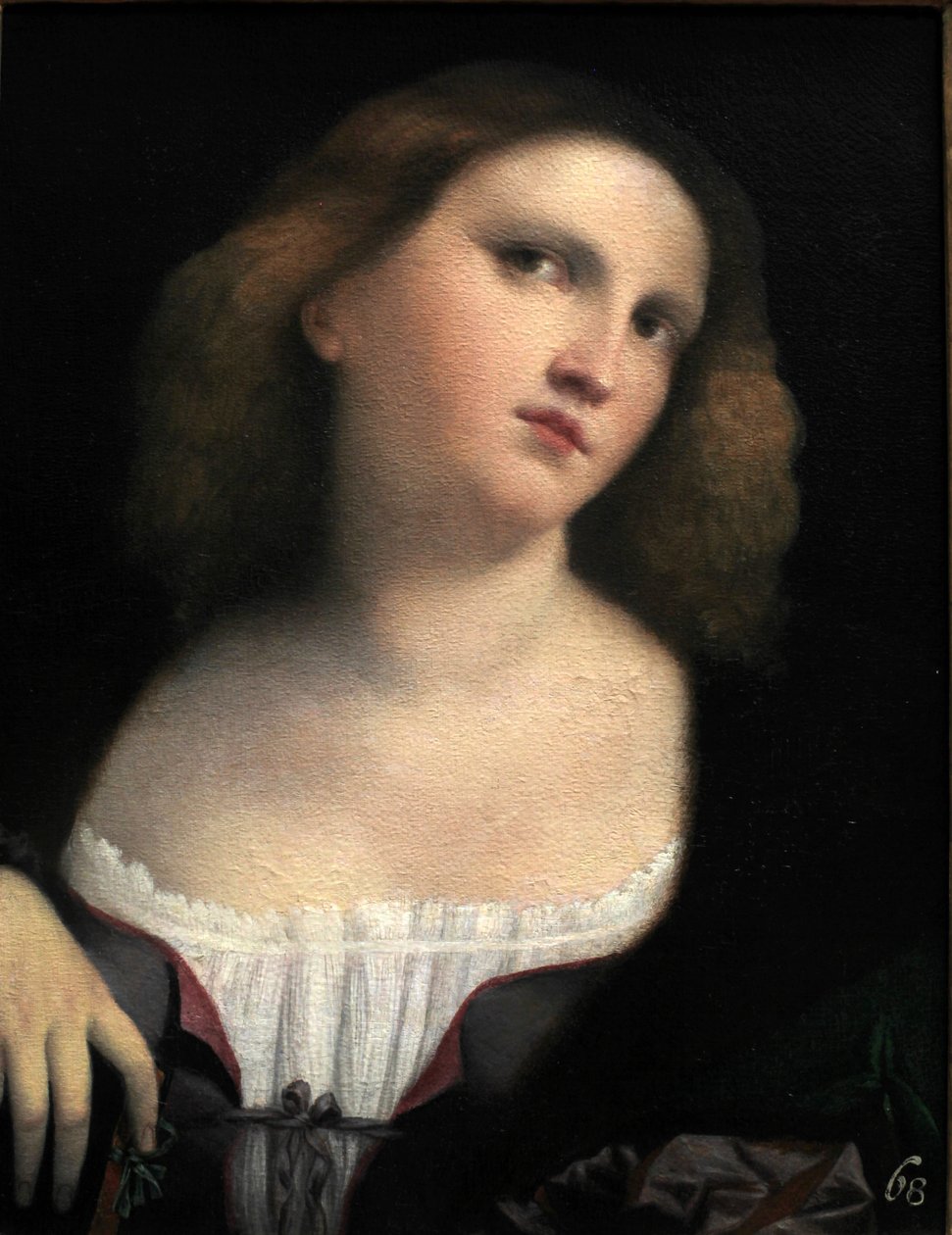 一个女人的肖像 作者 帕尔玛·维琪奥（Palma il Vecchio）