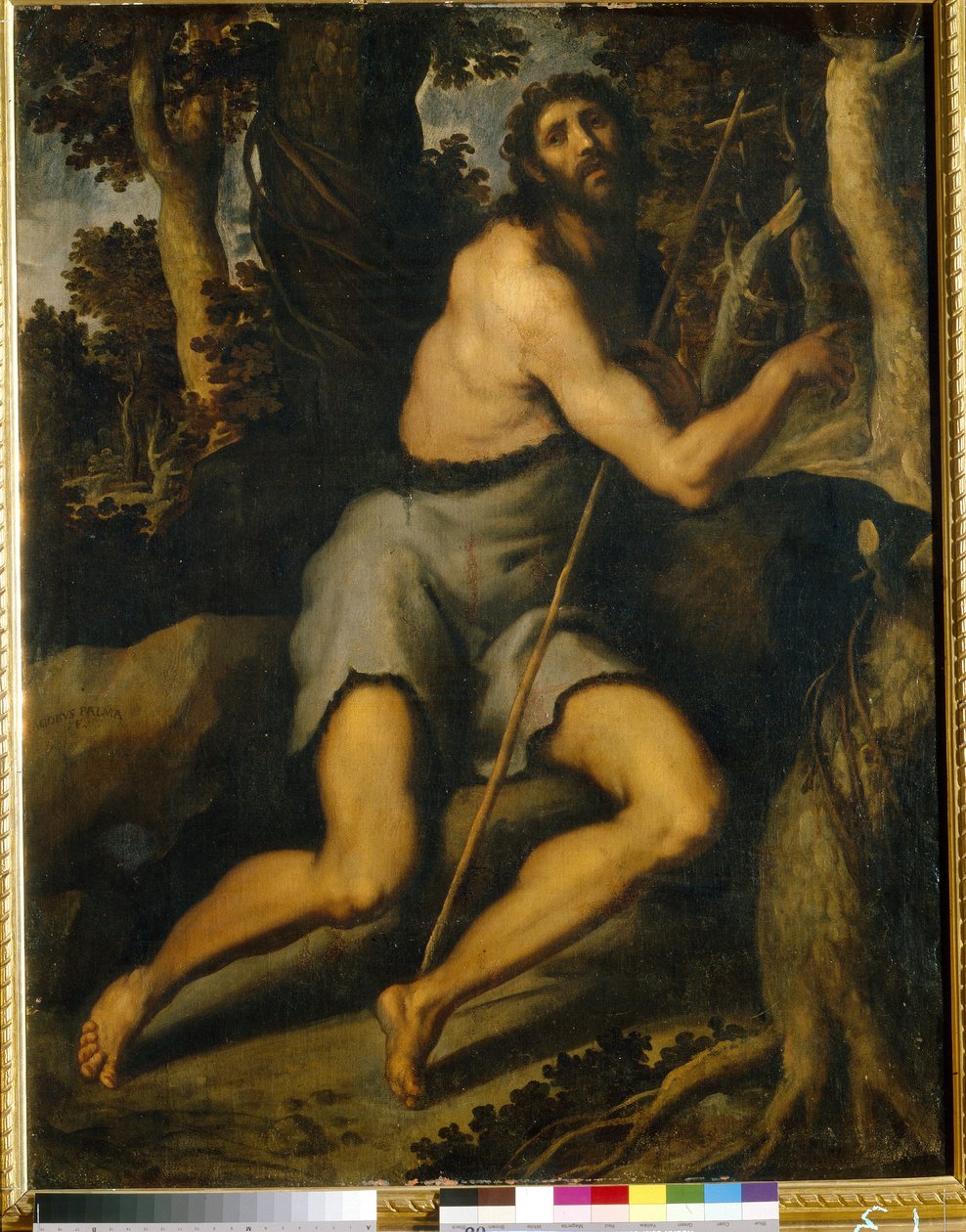 荒野中的施洗者圣约翰。年轻的雅各布-帕尔马（Jacopo Palma il Giovane，1544-1628 年），布面油画，16-17 世纪。意大利艺术（威尼斯），马尼埃主义。基辅（乌克兰）西方和东方艺术博物馆。 作者 帕尔马·伊尔·乔瓦内