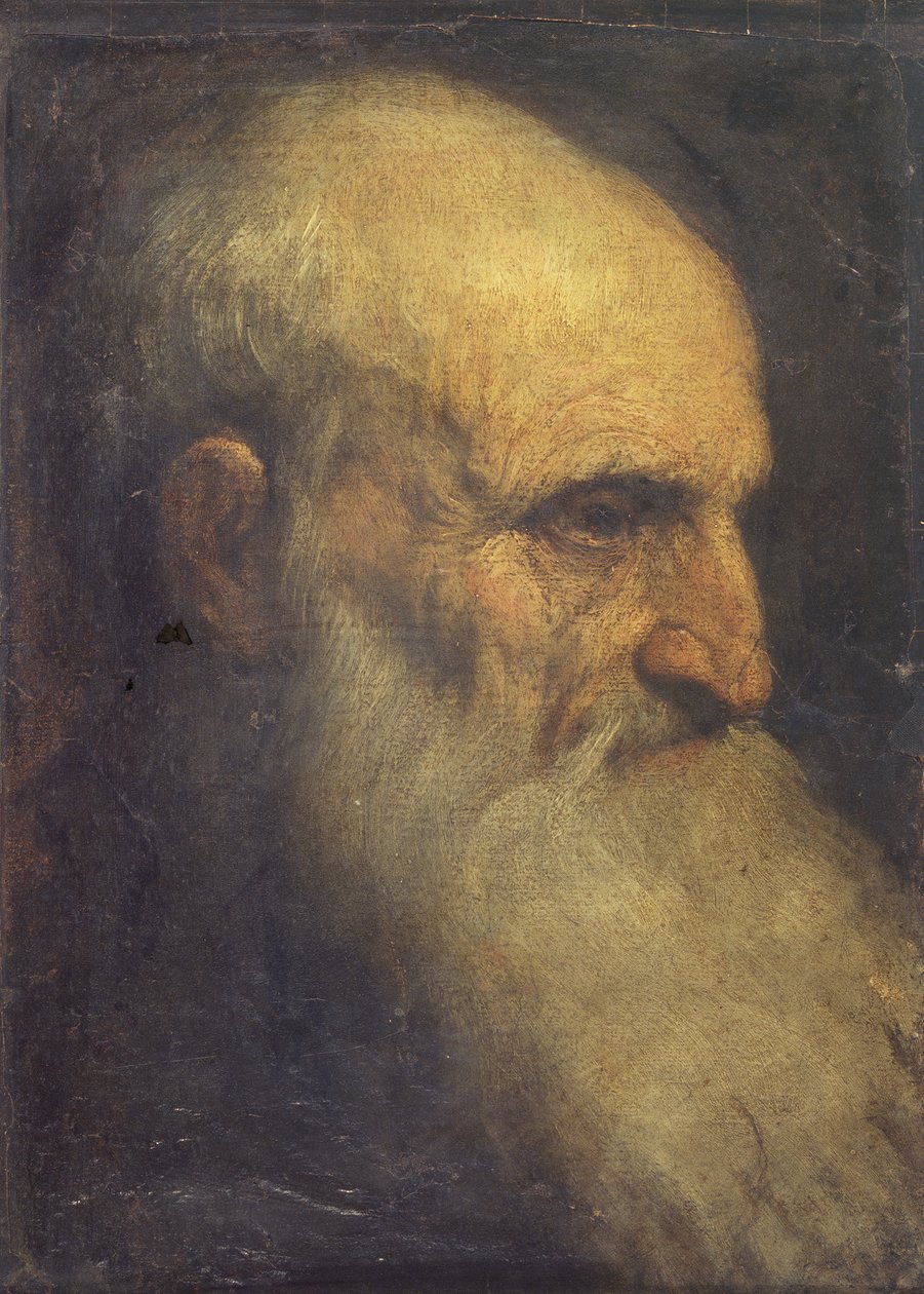 男子头像（正面），约1588-90（布面油画）。 作者 帕尔玛（Palma Il Giovane）