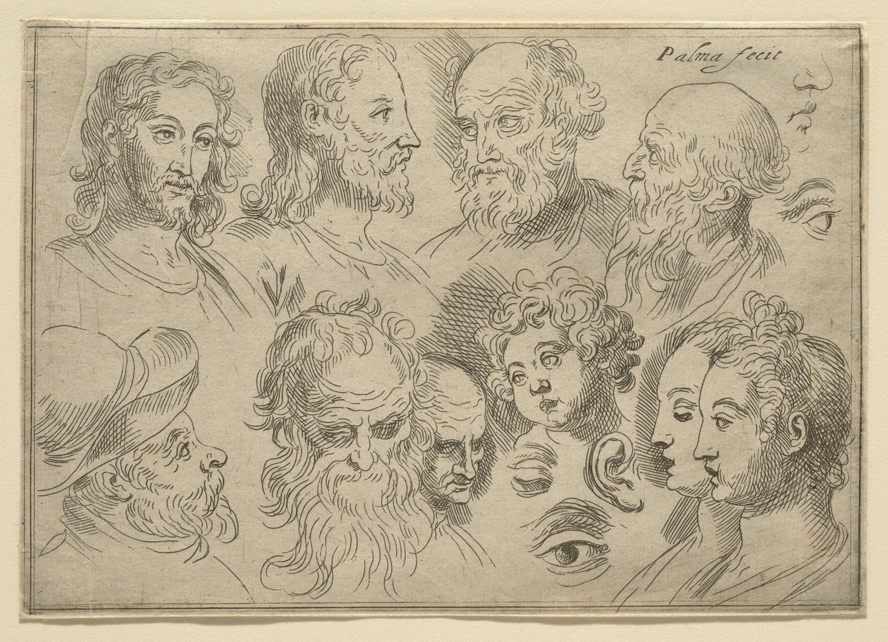 十头素描板，1636年 作者 帕尔玛（Palma Il Giovane）