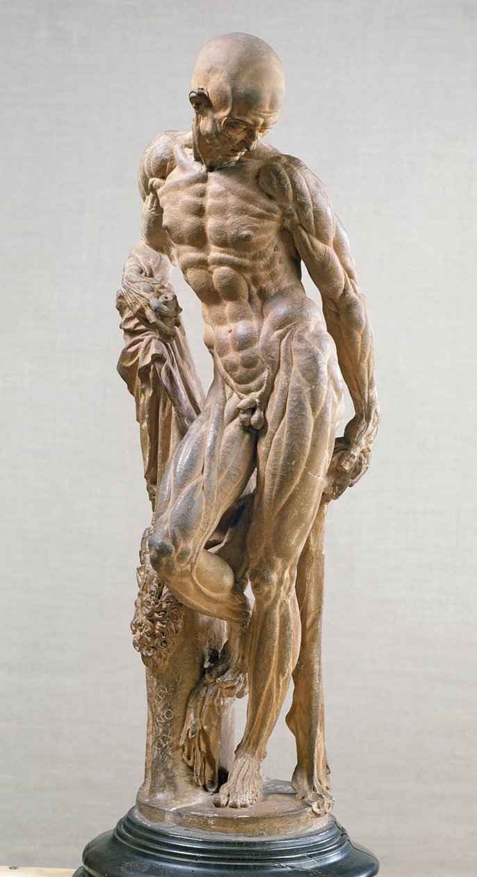 肌肉男，1569（兵马俑） 作者 帕鲁达努斯