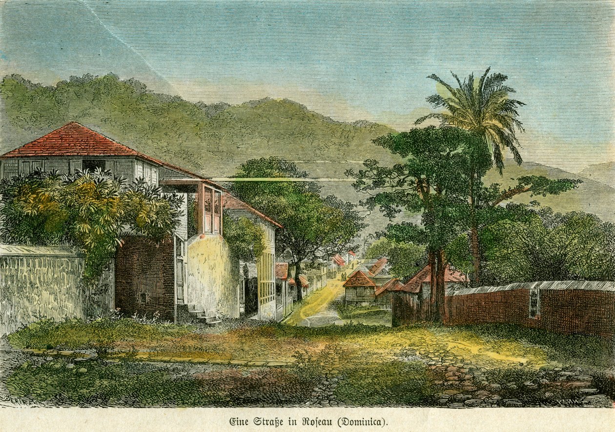 多米尼加罗索的一条街道，约1880年。 作者 毛刺