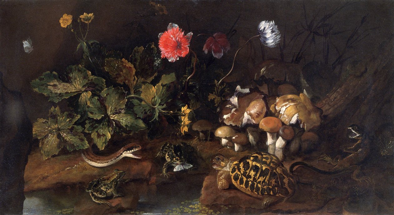 蛇、青蛙、乌龟和蜥蜴的静物画》，1656-1673年 作者 保罗·波波拉（Paolo Porpora）