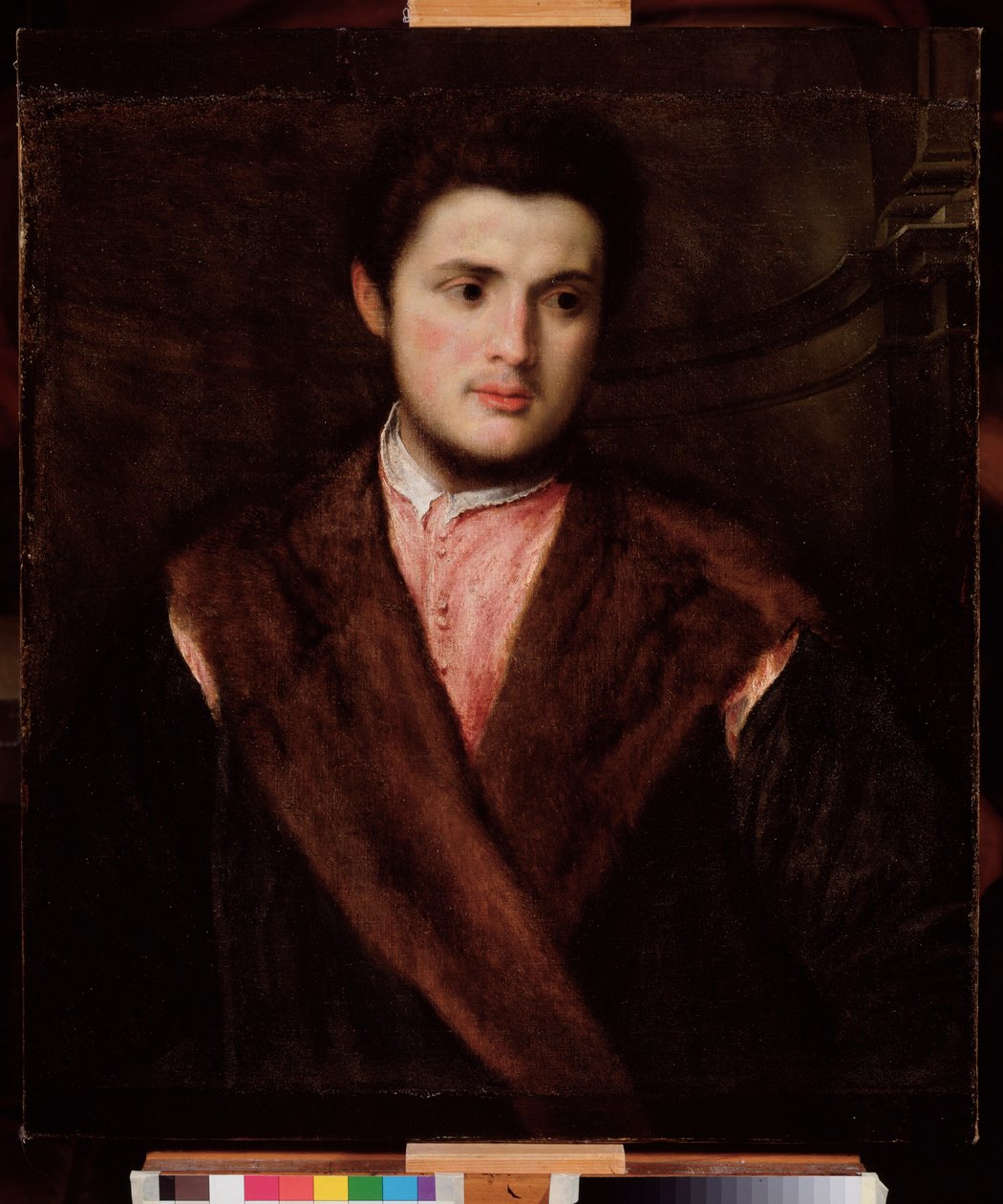 一个穿着皮草大衣的年轻人的肖像 画作 Paris Bordon (1500-1571) 16 世纪昏暗 75x64 厘米 Genes Musei di Strada Nuova（前 Palazzo Rosso） 作者 巴黎·博尔多内