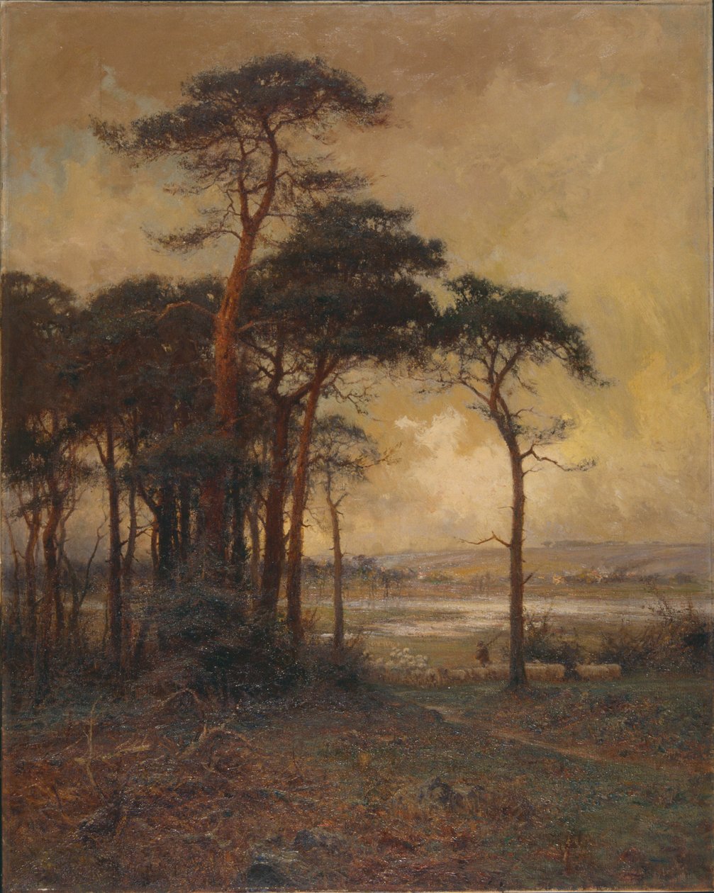 从荒野到沼泽"，1879-1934年 作者 帕克·哈格蒂