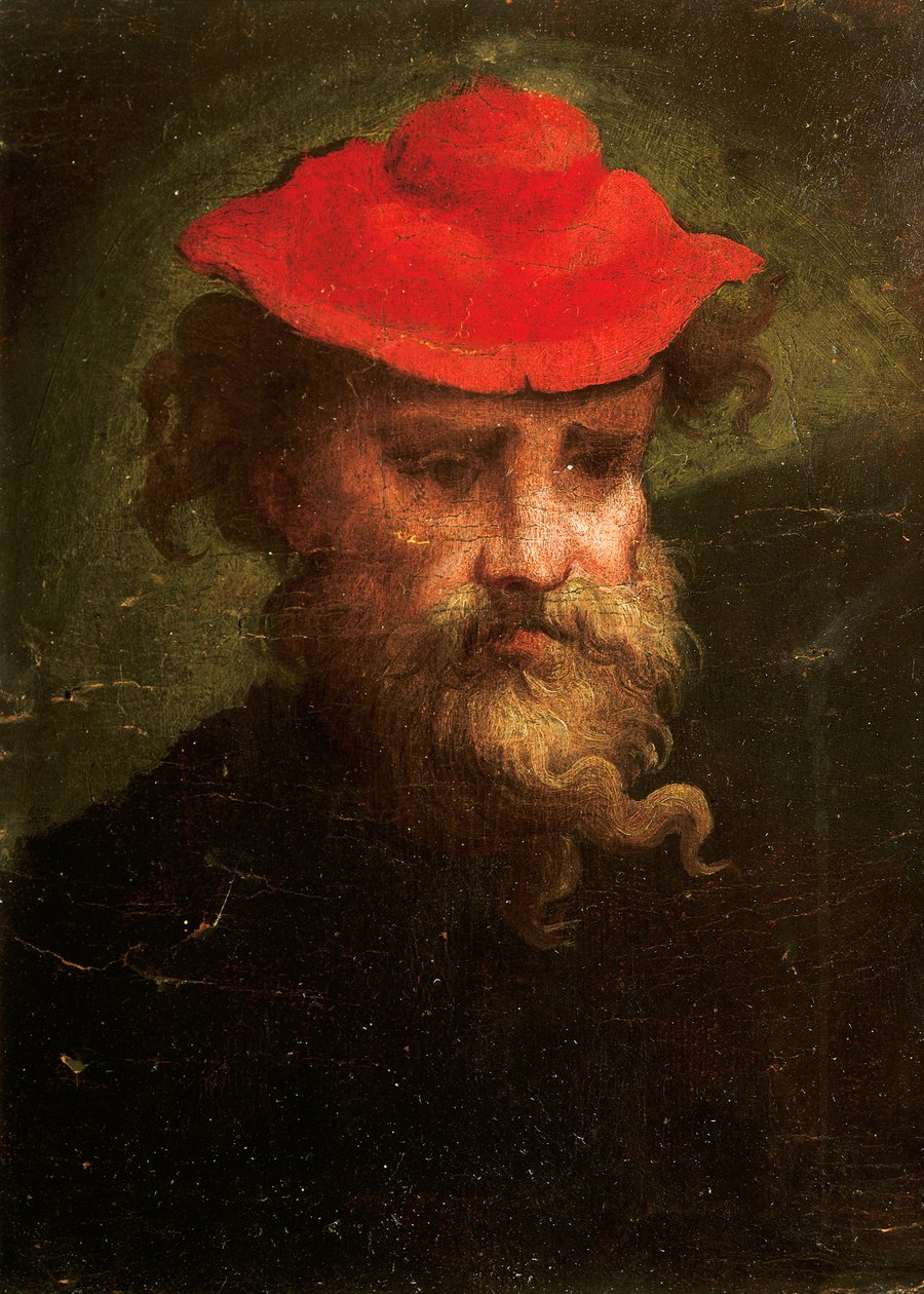 弗朗西斯科-帕米吉尼奥（1503-1540）的自画像 作者 帕玛强尼诺