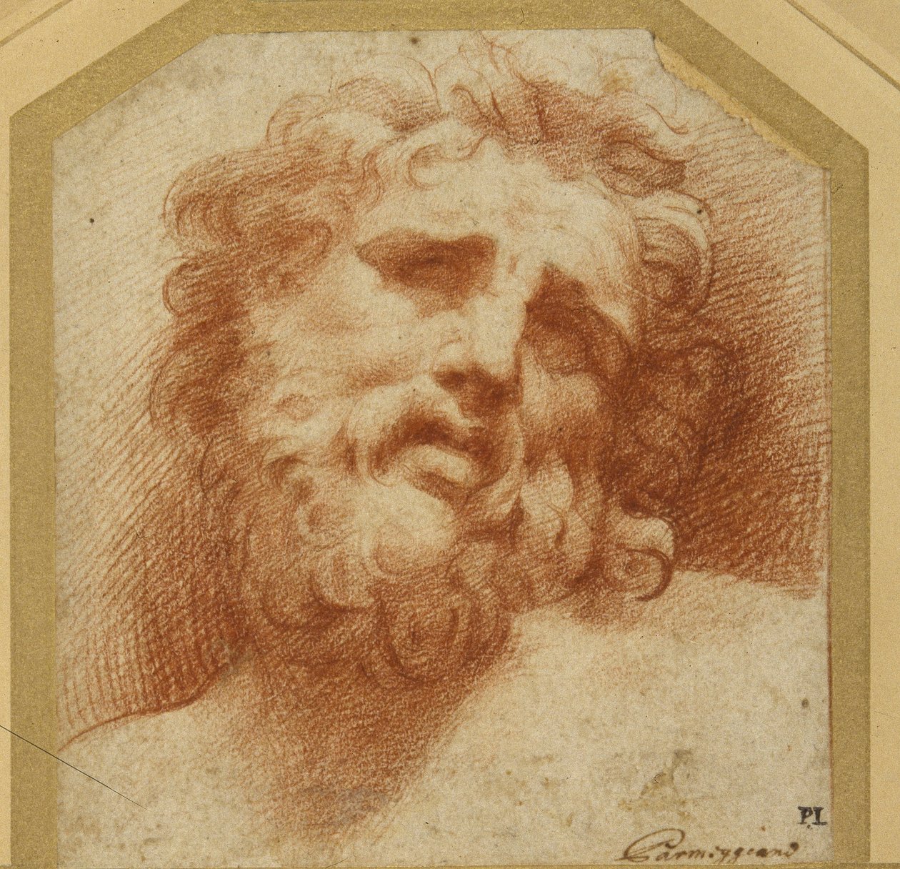 一个有胡子的头，抬头看（可能是Laocoon）（白纸上的红色粉笔）。 作者 帕玛强尼诺
