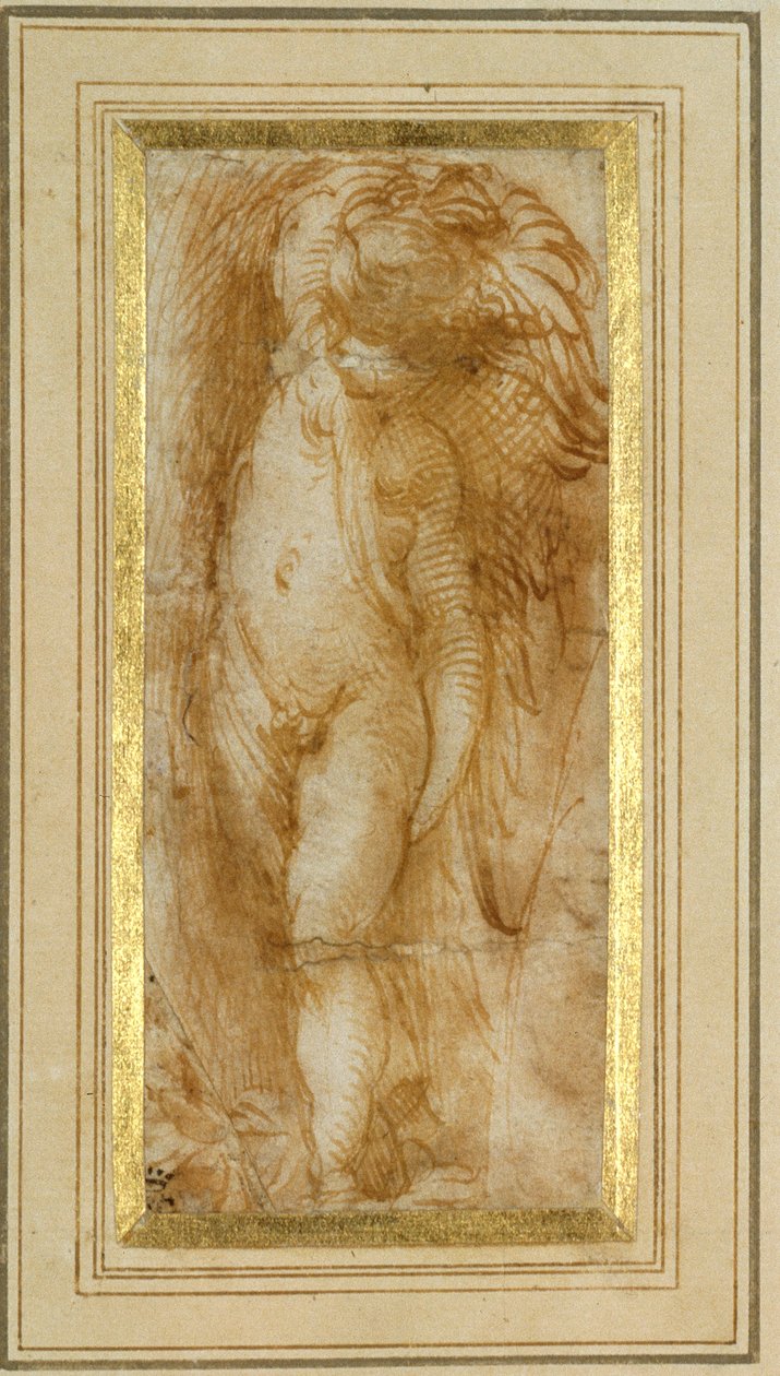向左转的putto（纸上钢笔和棕色墨水） 作者 帕玛强尼诺