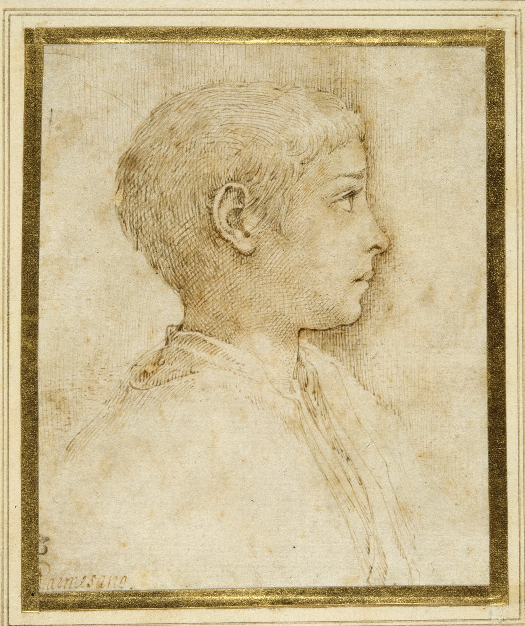 Bust of a boy in profile to the right (pen & brown ink on white paper) 作者 帕玛强尼诺