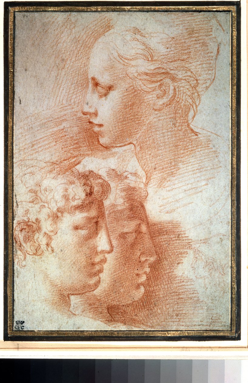 "头部研究。女孩和男孩的脸部轮廓。Girolamo Francesco Maria Mazzola 或 Mazzuoli（又名 il Parmigianino（帕尔马人））的绘画作品 作者 帕玛强尼诺