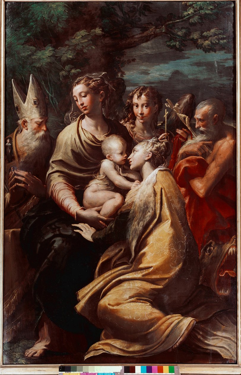 Madonna and Child, Saint Margarita, Saint Michael, Saint Jerome and Saint Petronio (Petrone, Petronius) Francesco Mazzola Il Parmigianino 的画作 The Parmesan (1503-1540) 1528-1529 Dim.222x147 cm Bologna, National Picture Gallery 作者 帕玛强尼诺