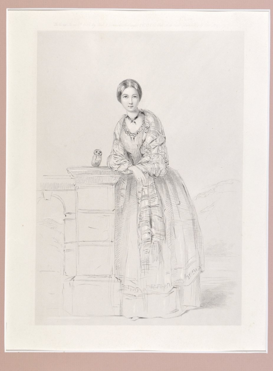 佛罗伦萨夜莺与雅典娜猫头鹰，酒吧。 P. und D. Colnaghi，1855 作者 夜莺帕特诺佩