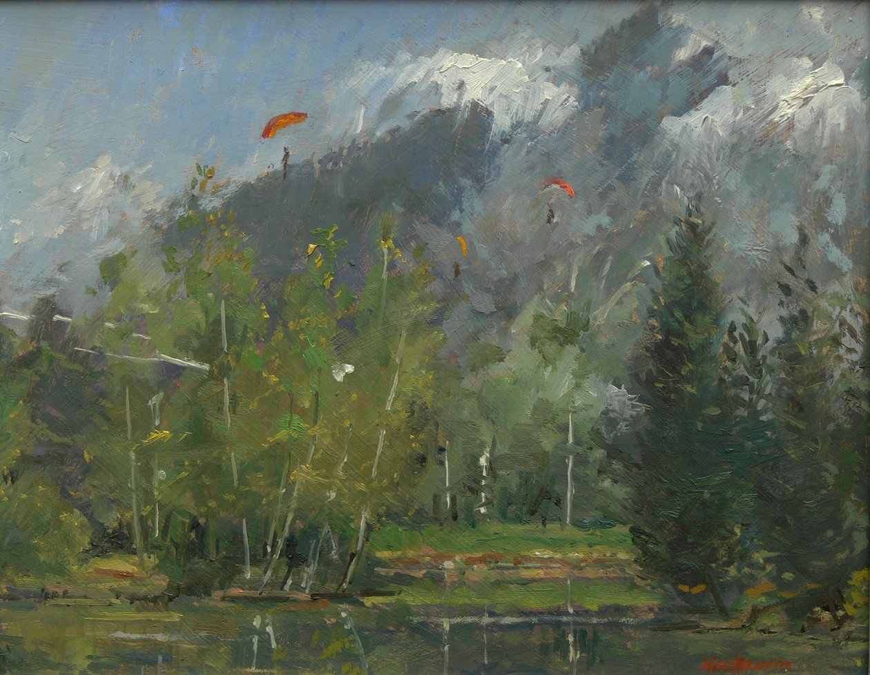 2007年夏蒙尼滑翔机 作者 帕特·麦克劳林