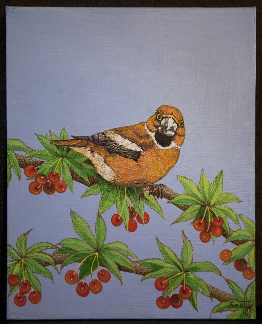 霍芬奇，2016 年 作者 帕特·斯科特