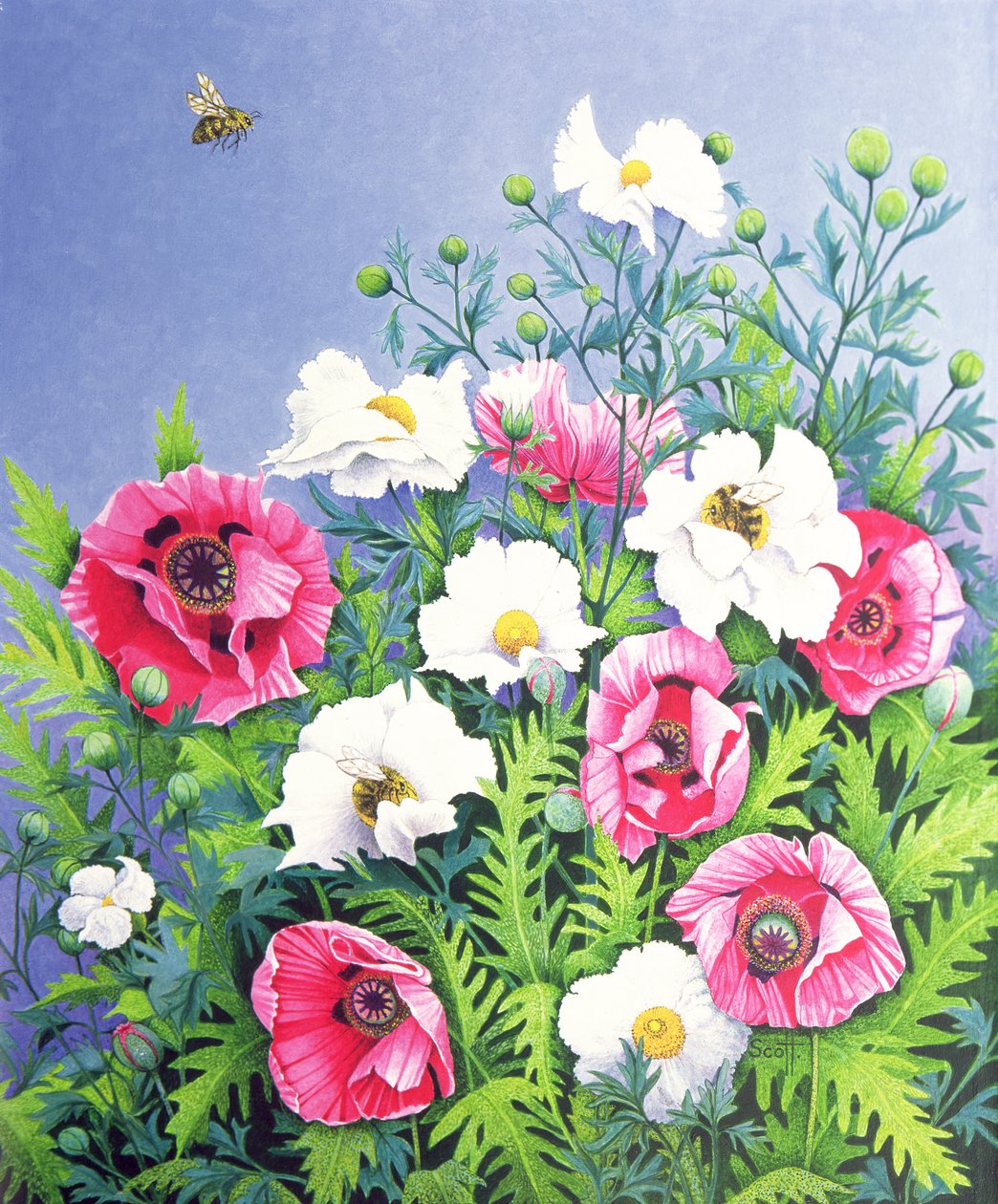 蜜蜂，蜜蜂（布面油画） 作者 帕特·斯科特