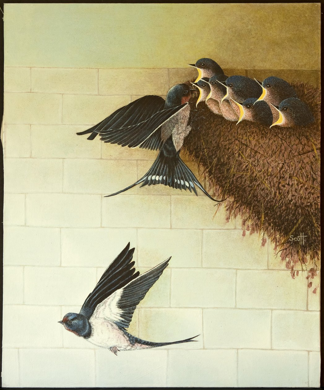 饥饿的嘴》，2011 年（花布上的丙烯画） 作者 帕特·斯科特