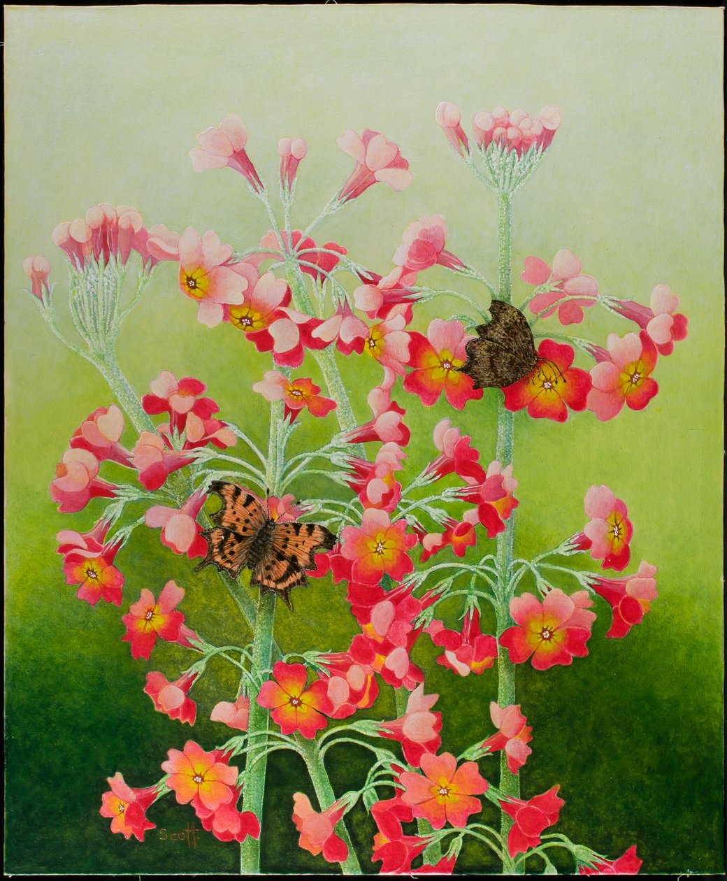 粉红色》，2011 年（花布上的丙烯画） 作者 帕特·斯科特