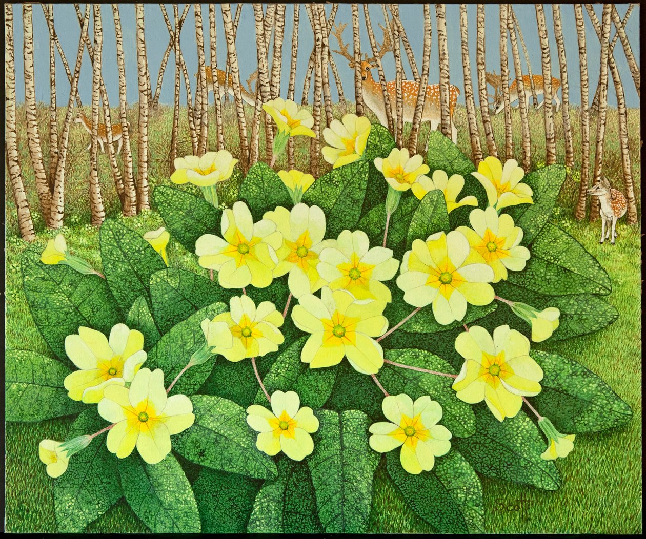 满怀希望》，2011 年（花布上的丙烯画） 作者 帕特·斯科特