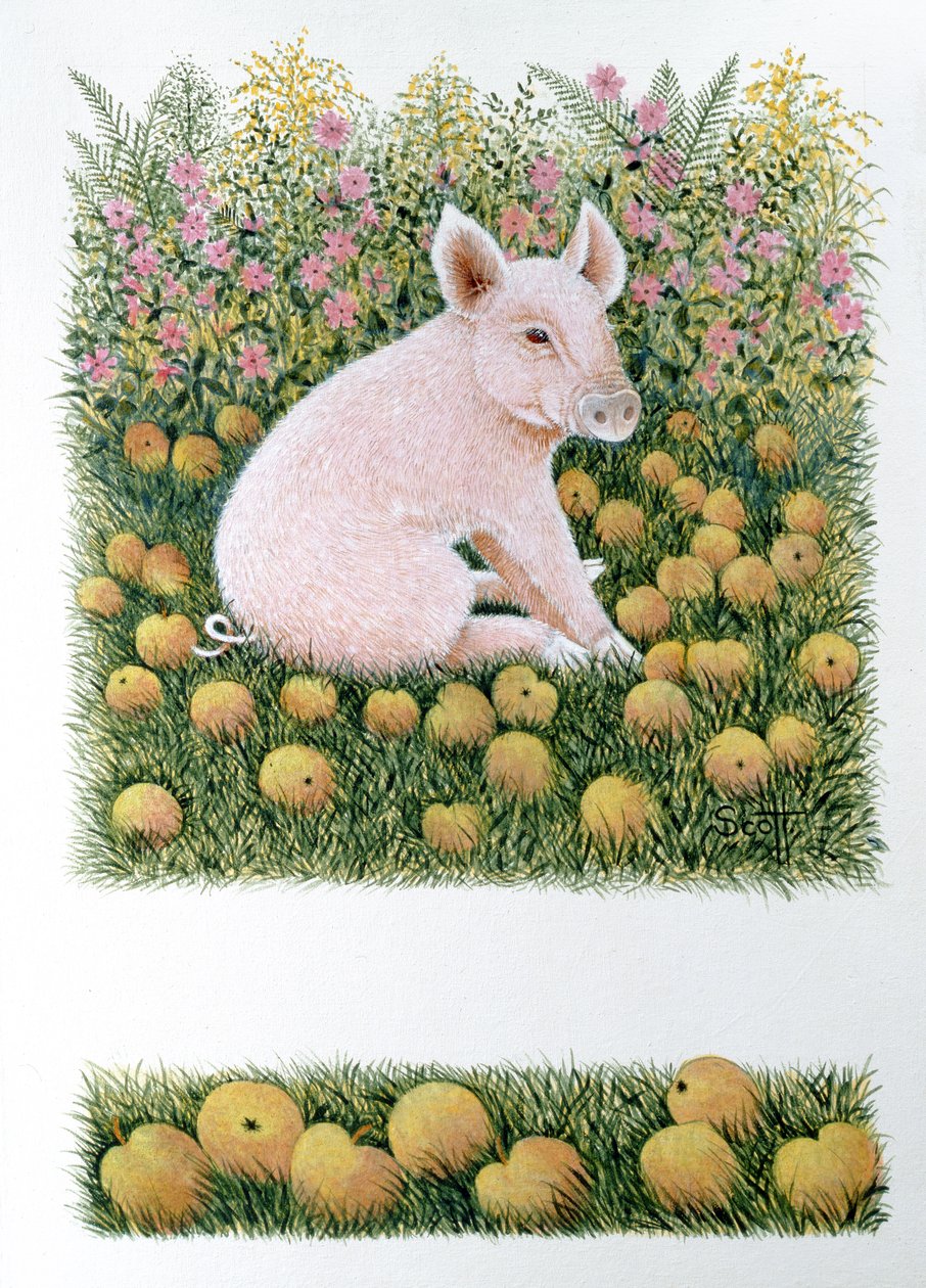 再来一个苹果（布面油画） 作者 帕特·斯科特