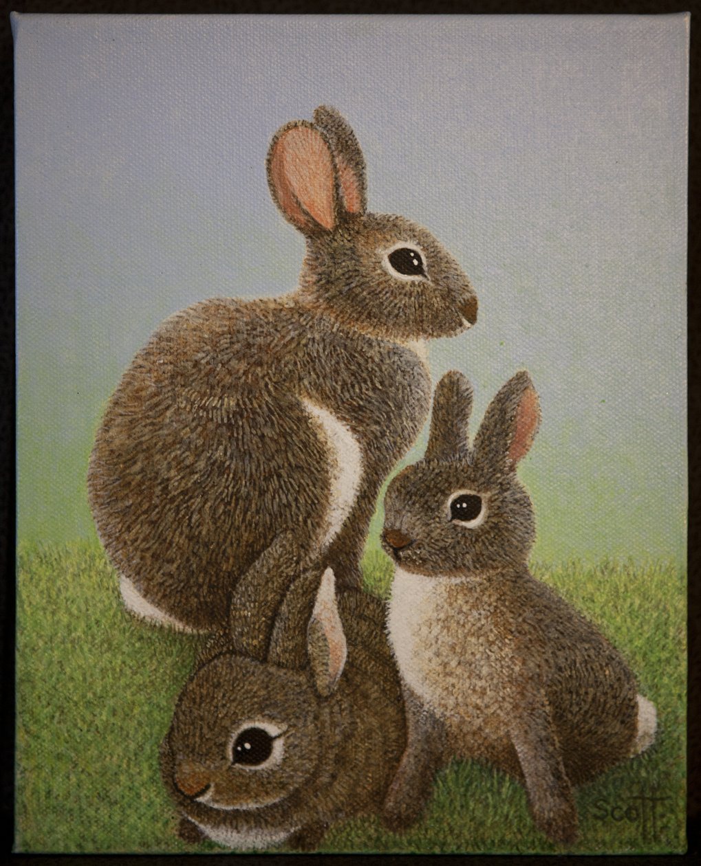 兔子家庭，2016 年 作者 帕特·斯科特