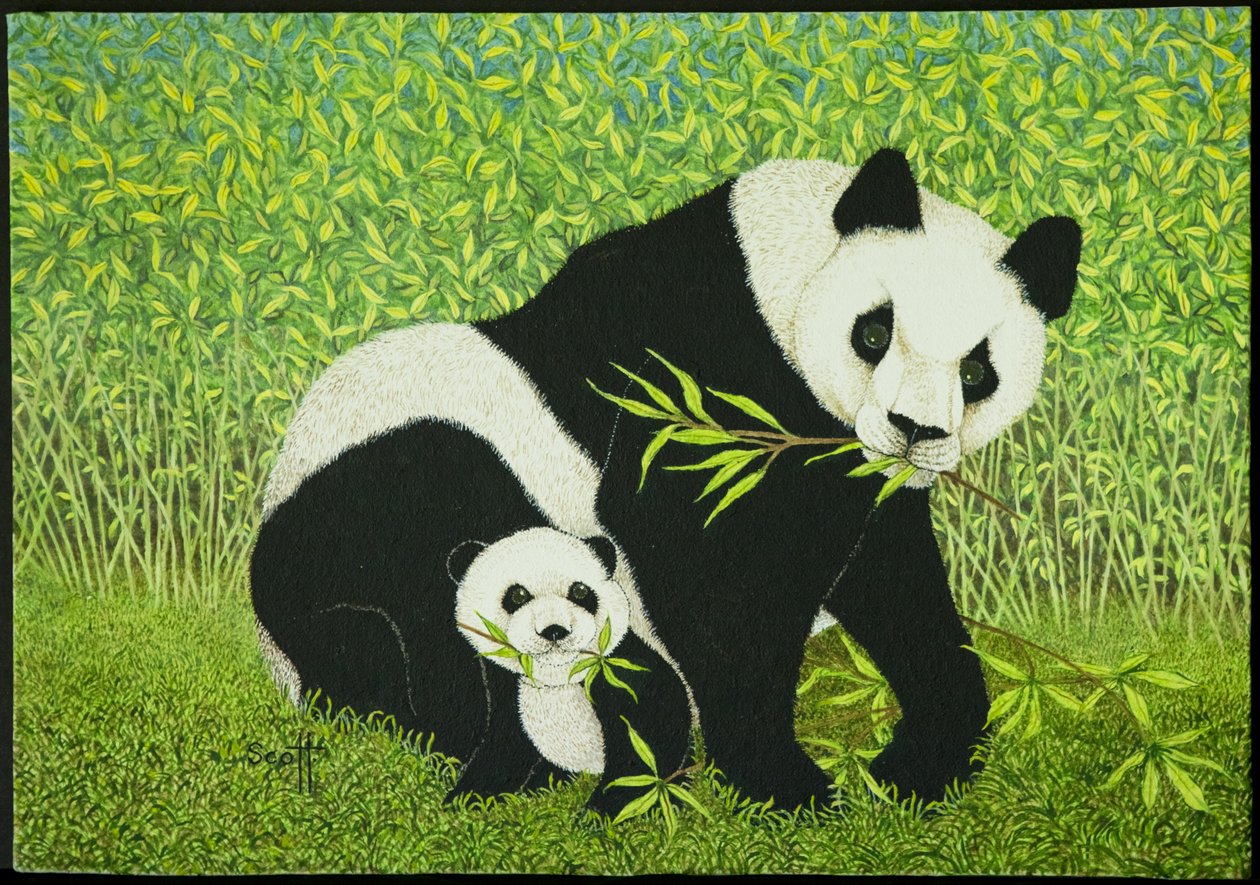 美好时光 作者 帕特·斯科特