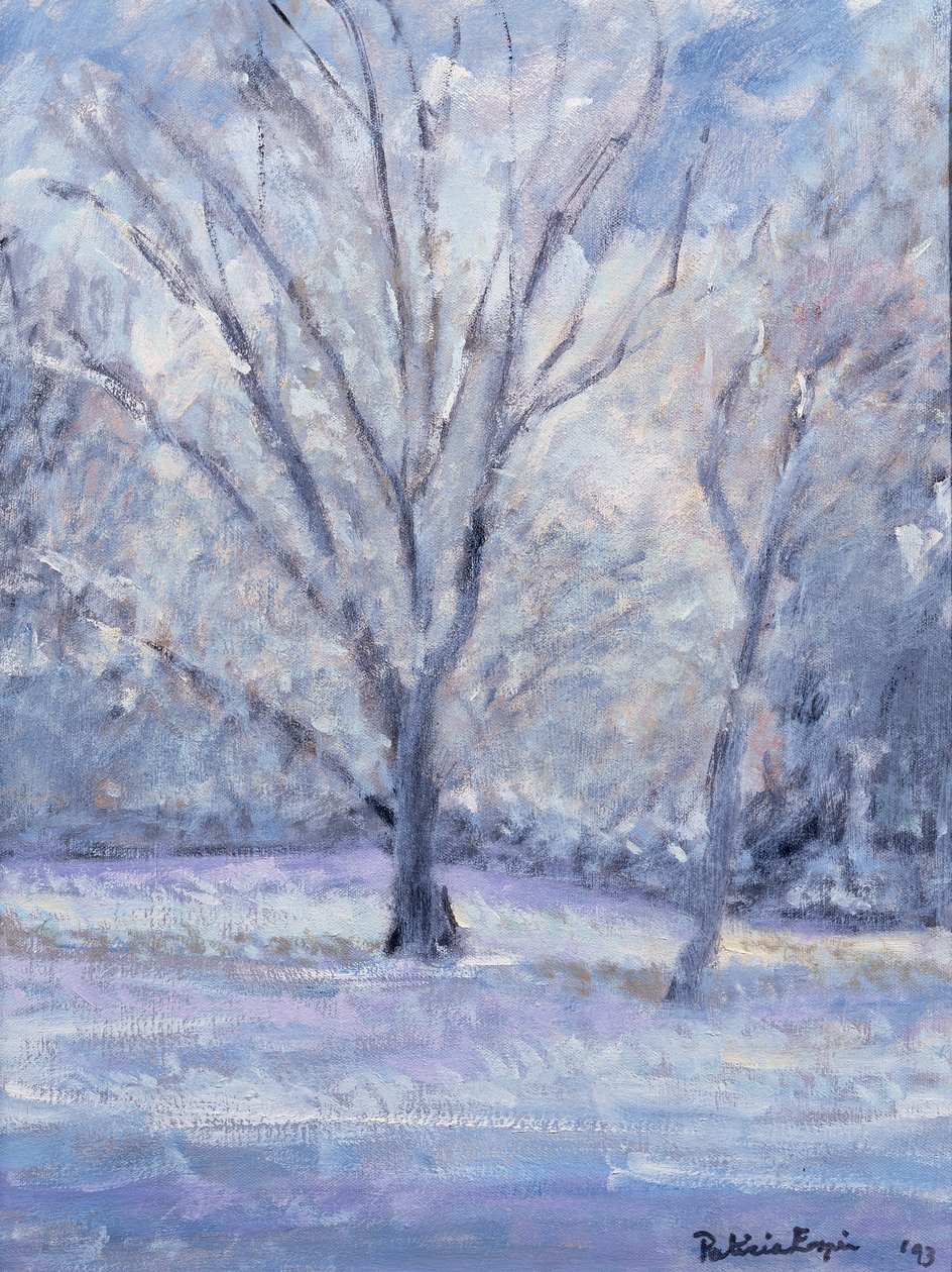 雪景 作者 帕特里夏·埃斯皮尔（Patricia Espir）
