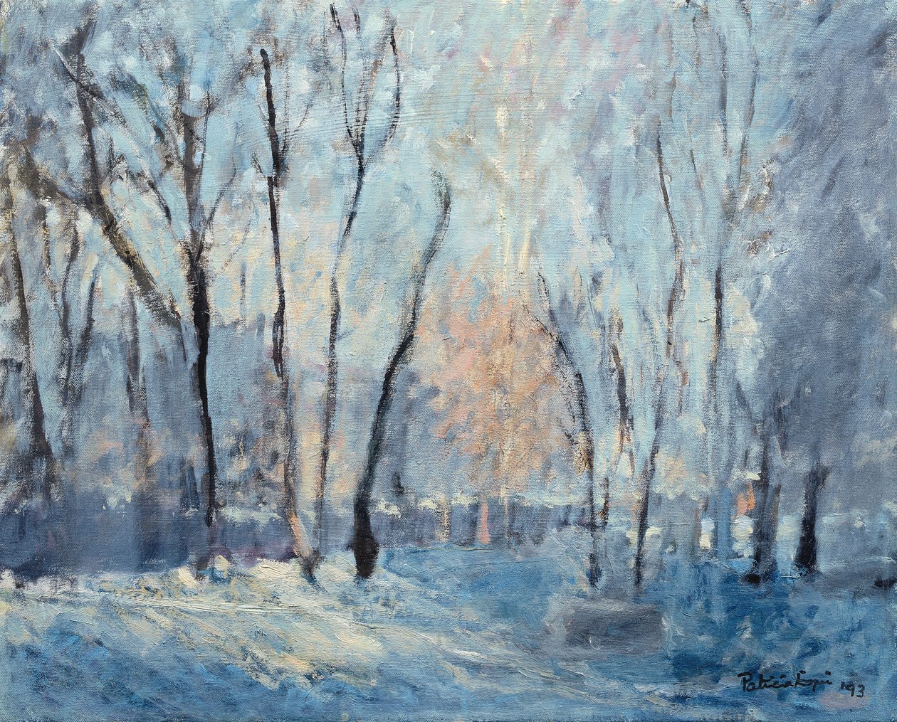 1993年花园里的雪 作者 帕特里夏·埃斯皮尔（Patricia Espir）