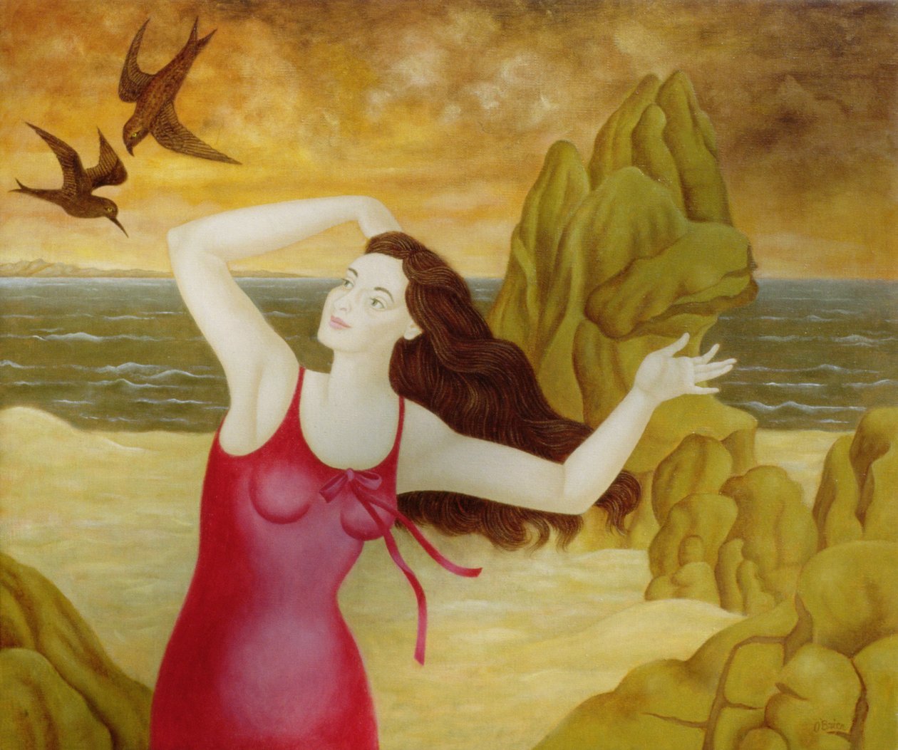 1998年第二次飞行 作者 帕特里夏·奥布莱恩（Patricia OBrien）