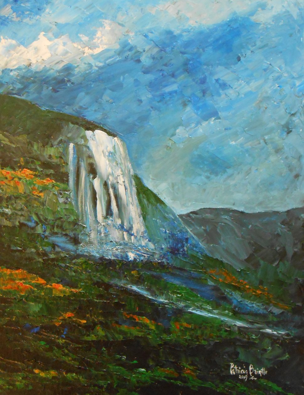 Cascade home，2015（画板上的丙烯酸树脂） 作者 帕特里夏·布林特（Patricia Brintle）