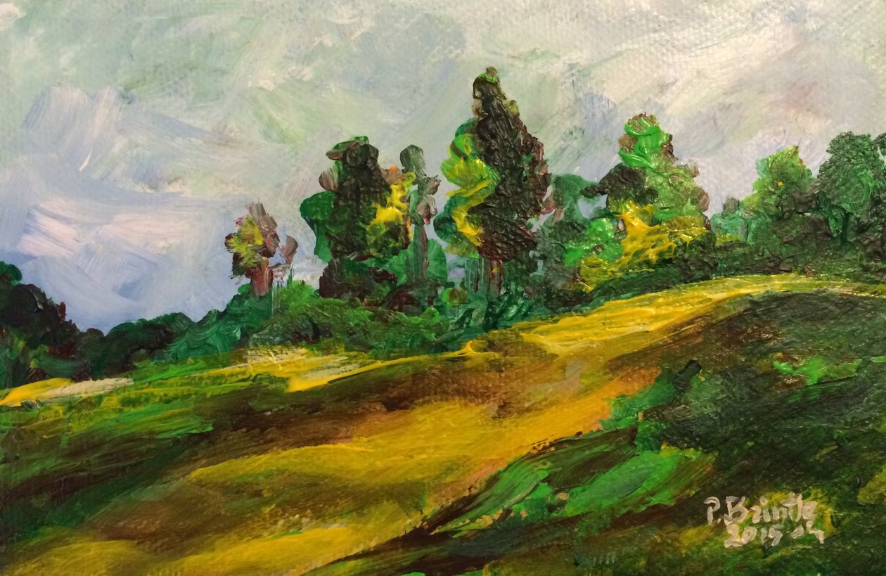Furcy早晨，2015年（丙烯画布） 作者 帕特里夏·布林特（Patricia Brintle）